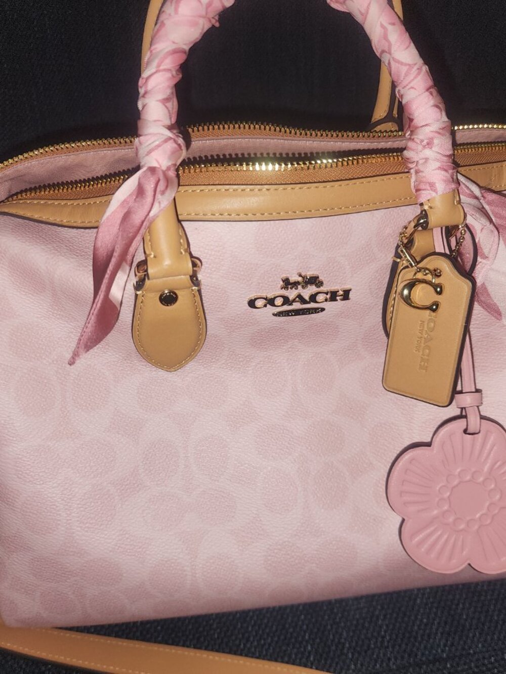 Coach Outlet Rowan Large Satchel Bag In Signature Canvas With Charms - Picture 9 of 10